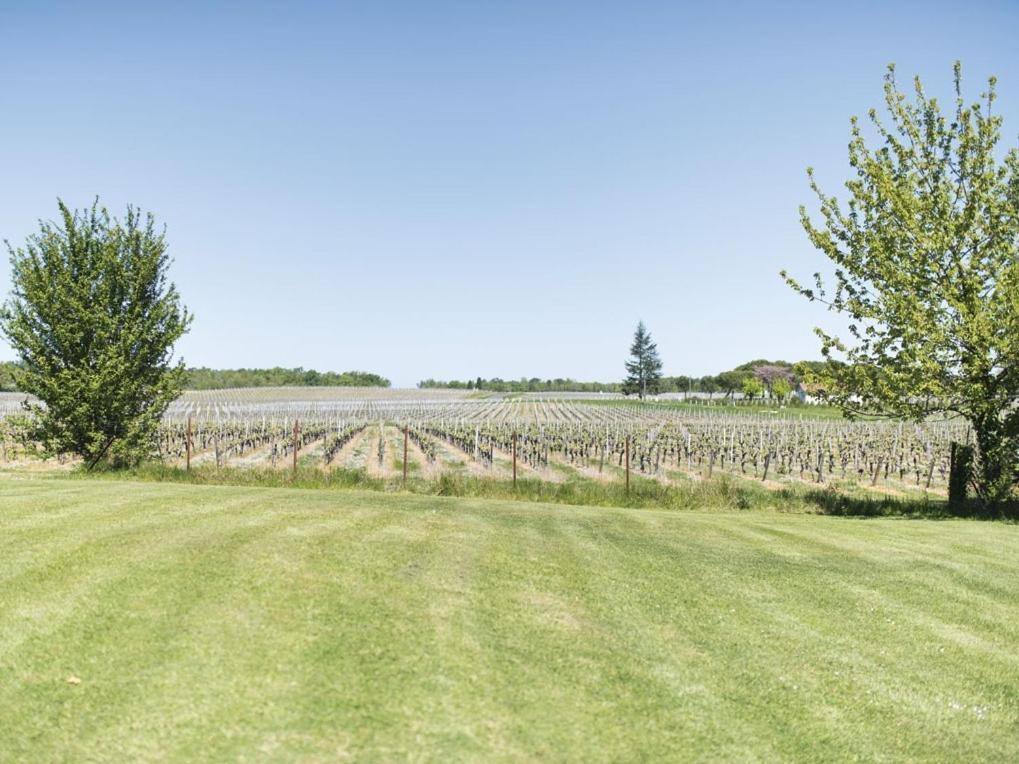 Domaine De Quittignan Brillette Hotel Moulis-en-Medoc Bagian luar foto