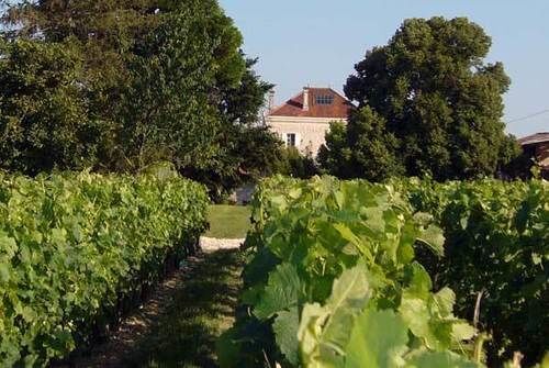 Domaine De Quittignan Brillette Hotel Moulis-en-Medoc Bagian luar foto